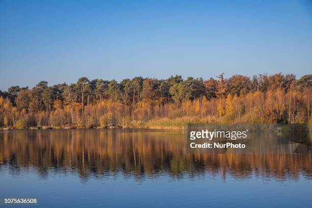 The Oisterwijk forests and fens in North Brabant in the Netherlands is a natural monument of forest and lakes with an extensive network of trekking...