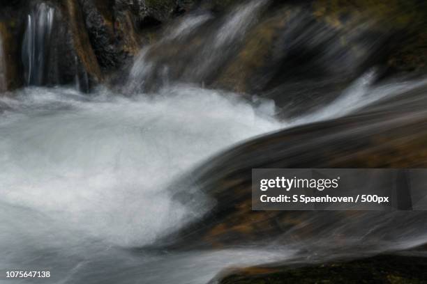 14 Ousel Stock Photos, High-Res Pictures, and Images - Getty Images