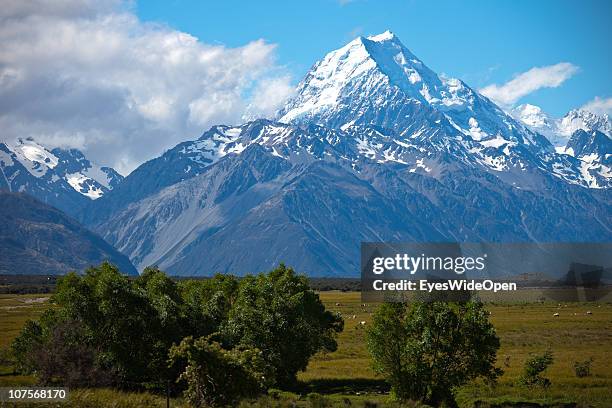 Snow on the summit of Mt.Cook on December 12, 2010 in Aoraki / Mount Cook National Park, South Island New Zealand. Mt. Cook is, with an altitude of...