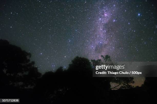 milk way in the farm - milk way brazil stock-fotos und bilder