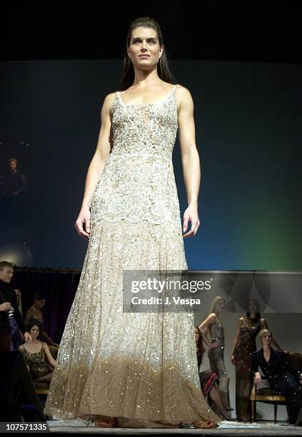 Brooke Shields during Marshall Field's Fash Bash at Chicago Theater in Chicago, Illinois.