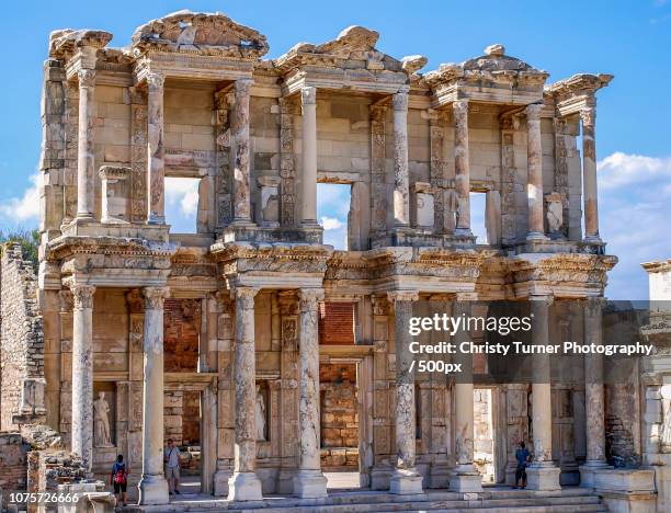 Celcus Celcus Photos and Premium High Res Pictures - Getty Images