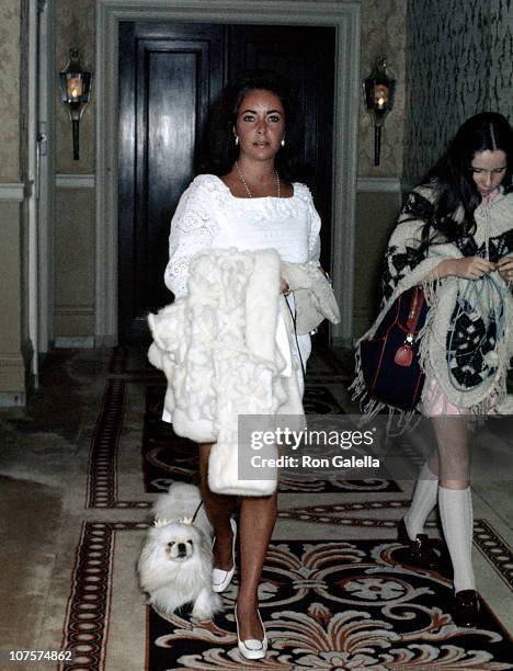 Elizabeth Taylor and her dog at the Plaza Hotel in New York City on May 16, 1969 as Richard Burton, Liz Taylor, and Kate Burton check in.