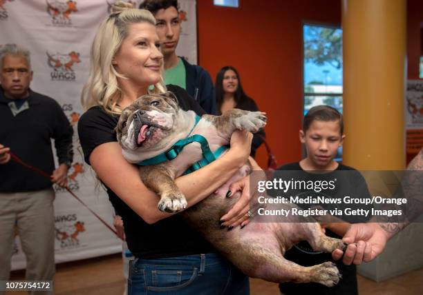 Nicole Stephenson of Lakewood holds 3-year-old Xena during a one-year reunion for adopted French and English bulldogs from WAGS shelter. When the...