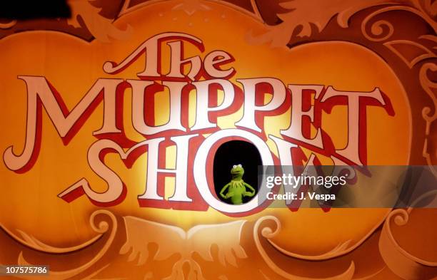 Kermit The Frog performs during the 25th Anniversary of The Muppet Show at the Palace Theater in Hollywood.