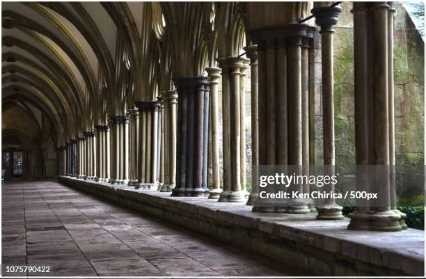 salisbury cathedral cloisters - cloister stock pictures, royalty-free photos & images