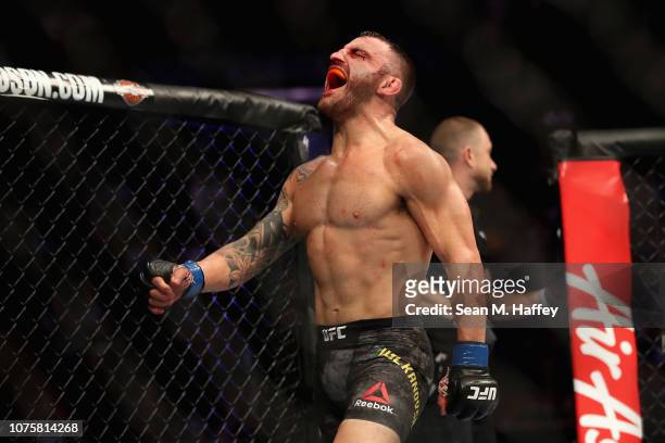 Alexander Volkanovski of Great Britain reacts to defeating Chad Mendes by TKO during a Featherweight bout during the UFC 232 event inside The Forum...