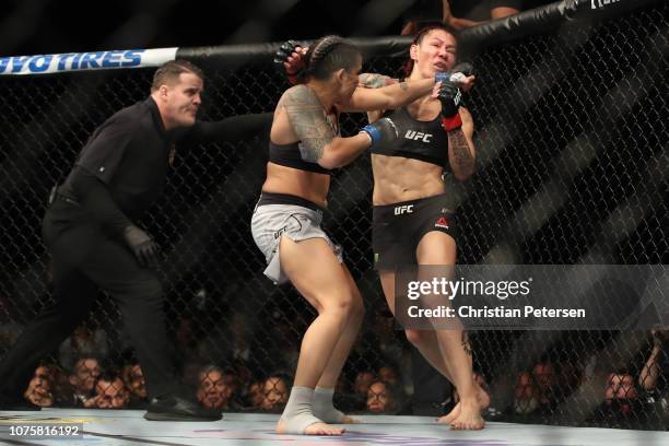 Amanda Nunes of Brazil punches Cris Cyborg of Brazil in their women's featherweight bout during the UFC 232 event inside The Forum on December 29,...