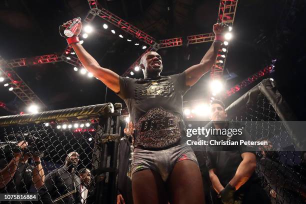 Jon Jones celebrates after defeating Alexander Gustafsson of Sweden in their light heavyweight bout during the UFC 232 event inside The Forum on...