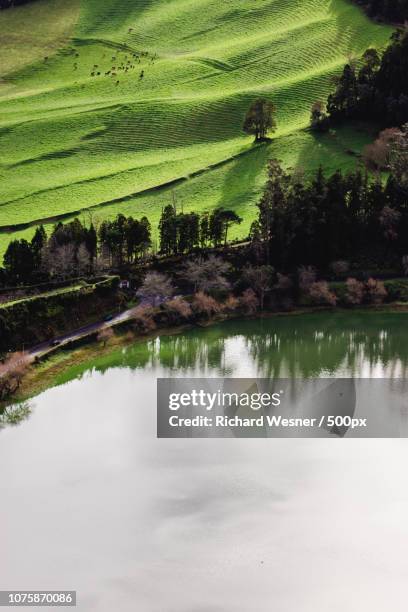 cadeira do furnas sao miguel - cadeira stock pictures, royalty-free photos & images