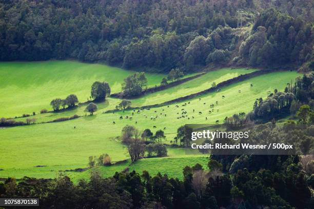 cadeira do furnas sao miguel - cadeira stock pictures, royalty-free photos & images