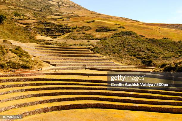 incan terraces of moray, peru - pisac imagens e fotografias de stock