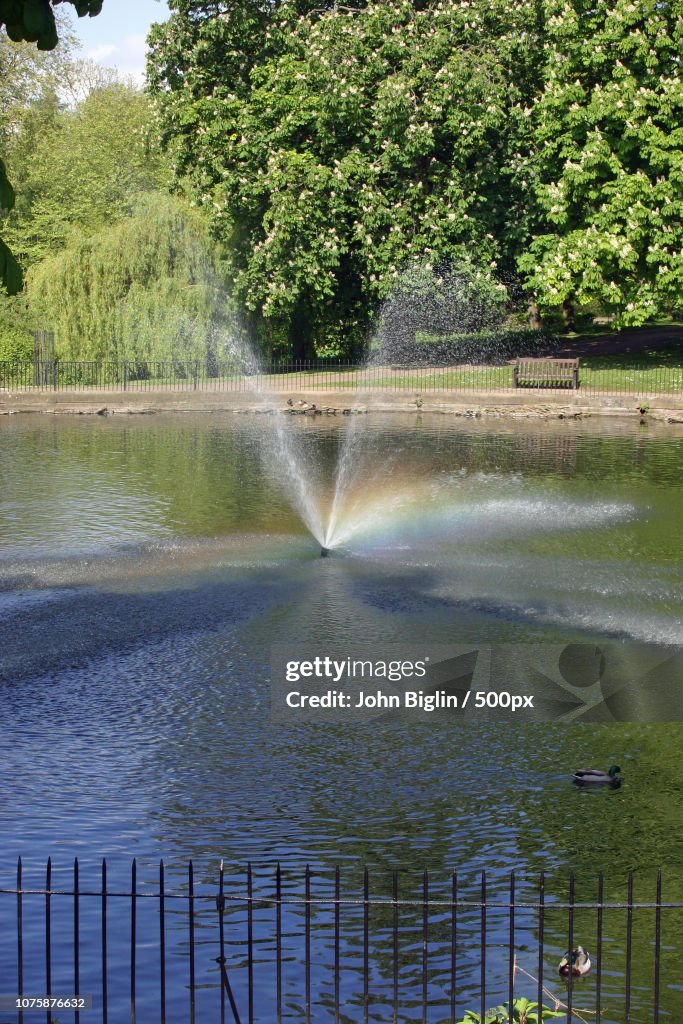 Pond with fountain