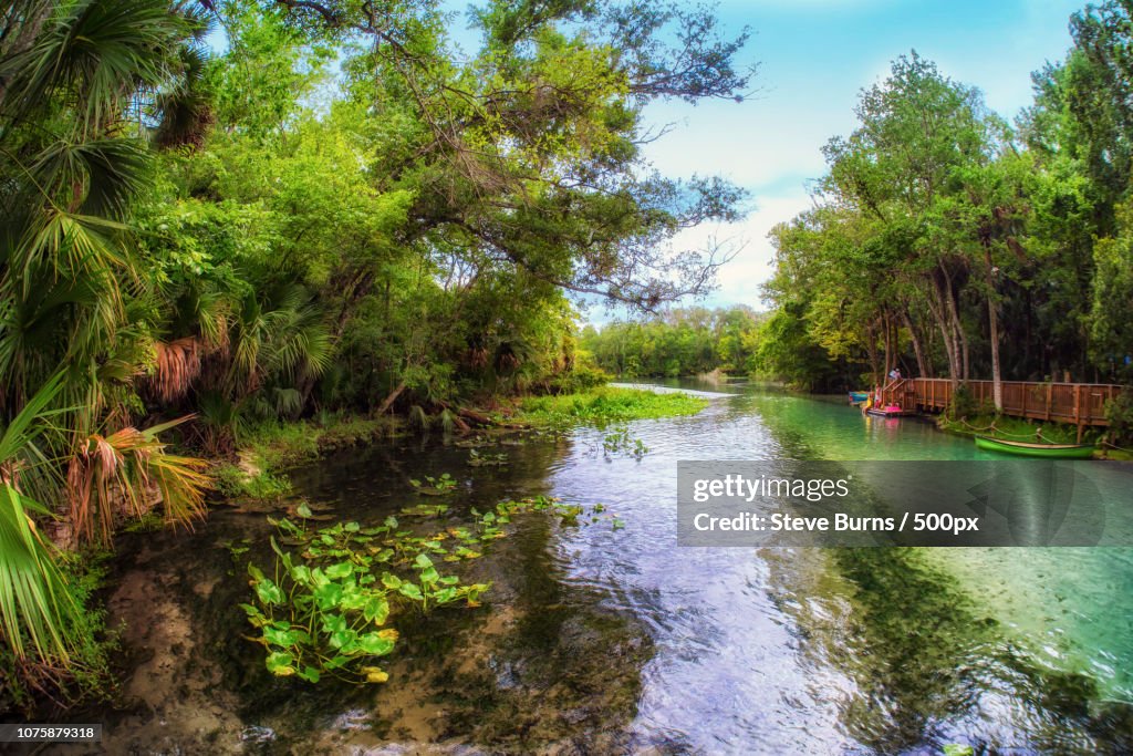 Wekiwa Springs State Park in Florida