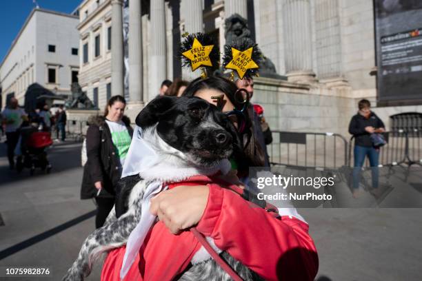 People attend the 8th 'San Perrestre' dog race to raise the people's awareness of adopting pets instead buy them, in Madrid, Spain, 30 December 2018....