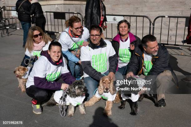 People attend the 8th 'San Perrestre' dog race to raise the people's awareness of adopting pets instead buy them, in Madrid, Spain, 30 December 2018....