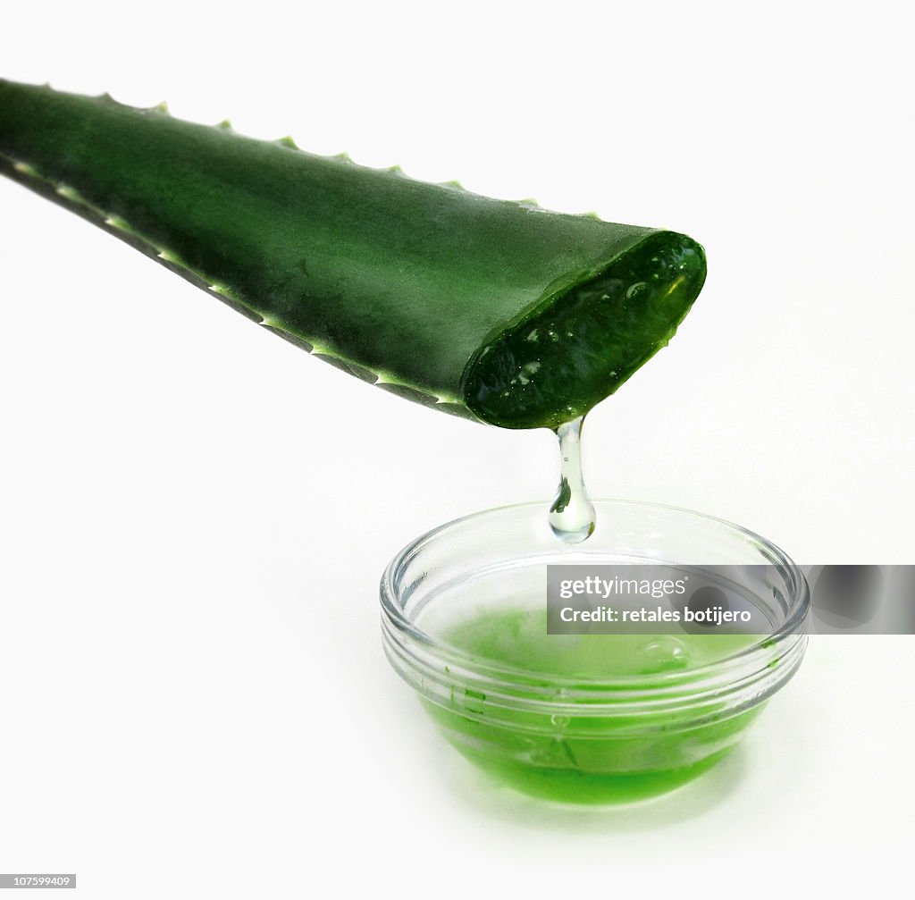 Aloe vera drop