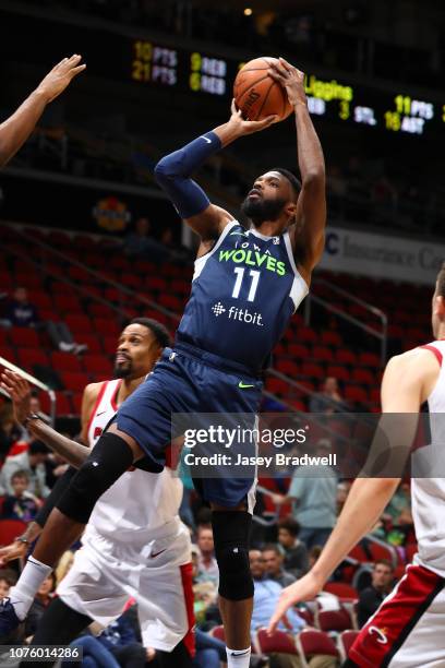 Hakim Warrick of the Iowa Wolves shoots a jump-shot against the Sioux Falls Skyforce in an NBA G-League game on December 30, 2018 at the Wells Fargo...