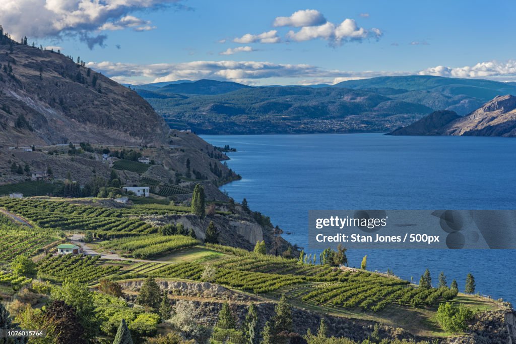 Ochards Over Okanagan Lake British Columbia Canada