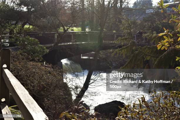 tumwater falls - tumwater stock pictures, royalty-free photos & images