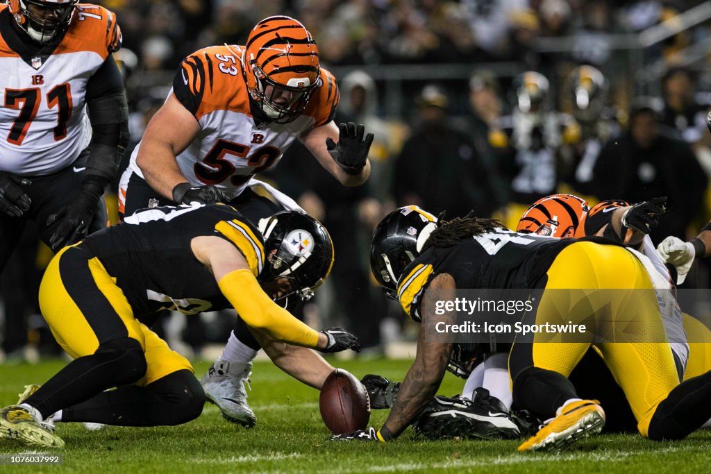 NFL: DEC 30 Bengals at Steelers