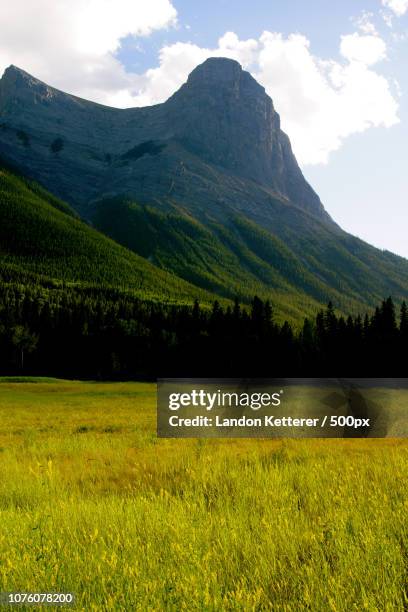 Haoling Haoling Summer High-Res Stock Photo - Getty Images