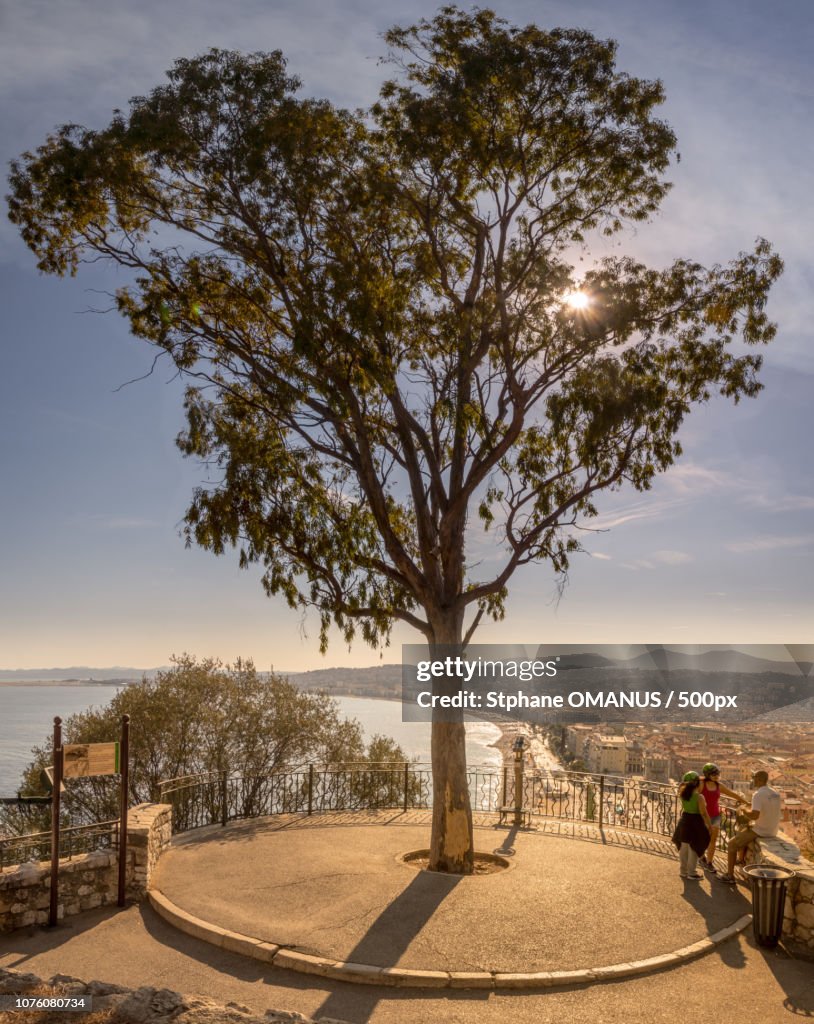 Golden Promenade