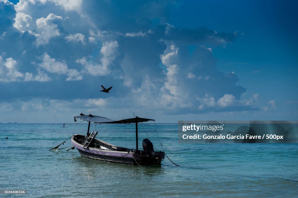 Diving Boat