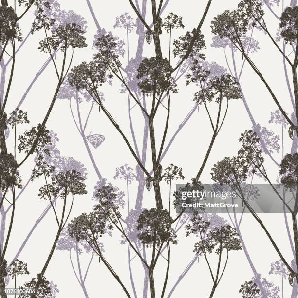 angelica cow parsley seamless repeat pattern - angelica stock illustrations