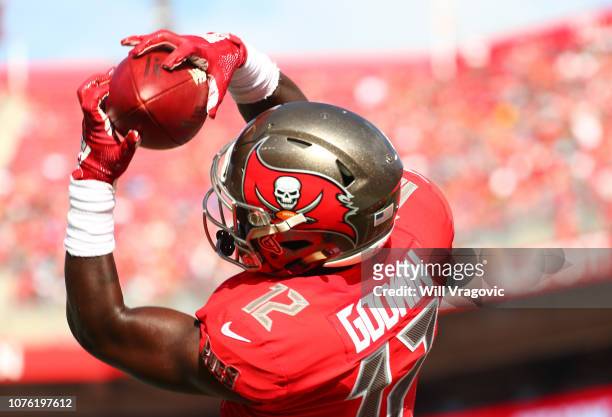 Chris Godwin of the Tampa Bay Buccaneers catches a touchdown pass thrown by Jameis Winston during the second quarter at Raymond James Stadium on...
