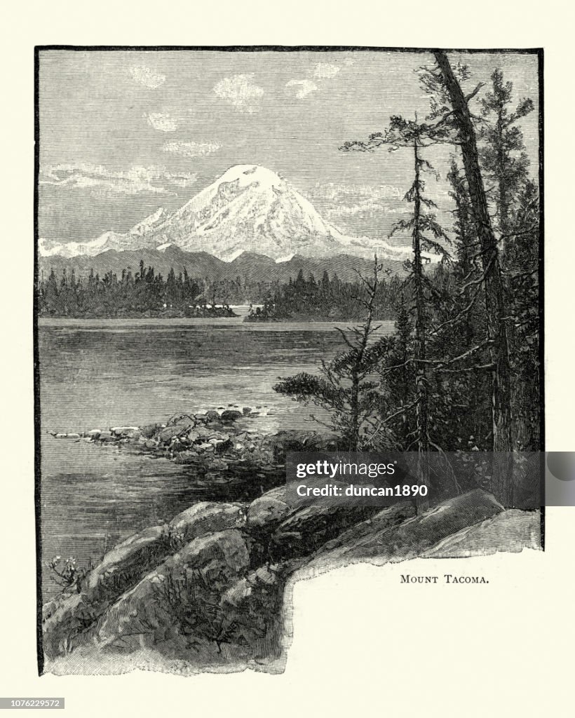 View of Mount Rainier (Tacoma), 19th Century