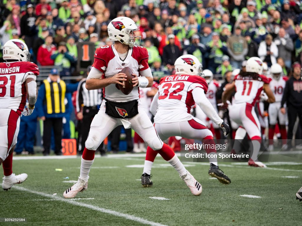 NFL: DEC 30 Cardinals at Seahawks