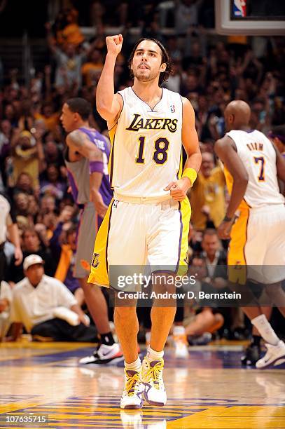 Sasha Vujacic of the Los Angeles Lakers celebrates after a play against the Phoenix Suns during a game on November 14, 2010 at Staples Center in Los...