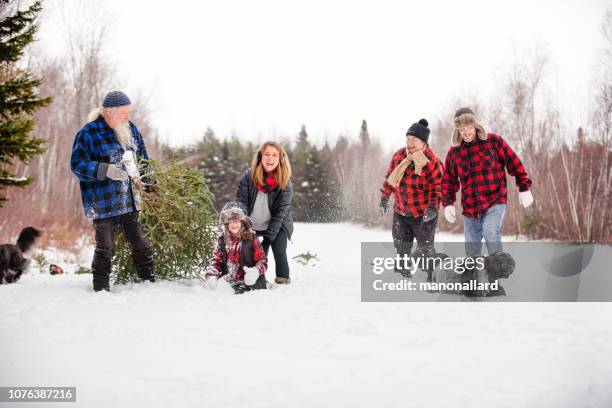 carry christmas tree with multi-generational family - family five people stock pictures, royalty-free photos & images