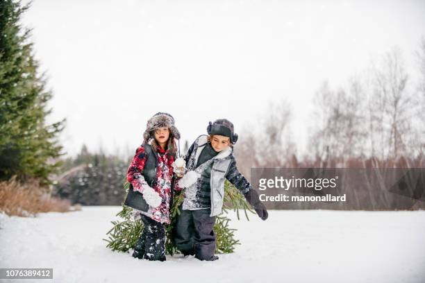 複数世代の家族とクリスマス ツリーを運ぶ - canada christmas ストックフォトと画像