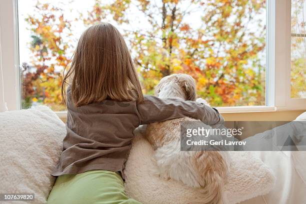 young girl and her dog looking out the window - child holding toy dog stock pictures, royalty-free photos & images