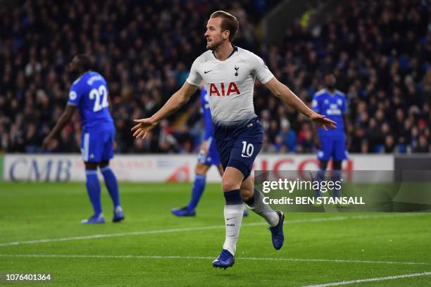 Tottenham Hotspur's English striker Harry Kane celebrates scoring his team's first goal during the English Premier League football match between...
