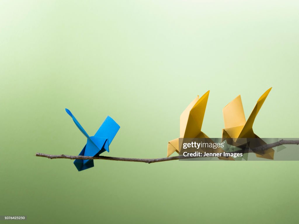 Conceptual Nature - 3 Origami Birds Sitting On A branch.