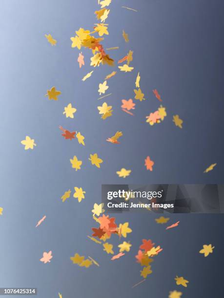 Falling Leaf Example Leaf Falling From Bare Tree Photos and Premium High Res Pictures ...