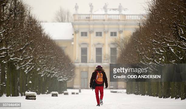 Man walks along through the Charlottenburg Palace gardens during snowfall in Berlin, December 17, 2010. Large parts of Germany are buried under snow,...