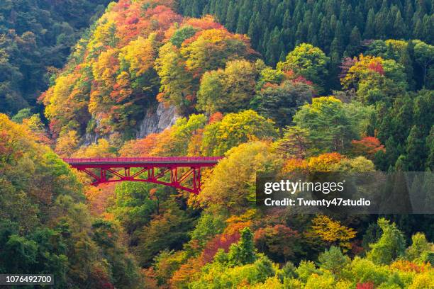 beautiful autumn mountain at takamura village, yamada-onsen, nagano, japan. - japanese fall foliage stock pictures, royalty-free photos & images