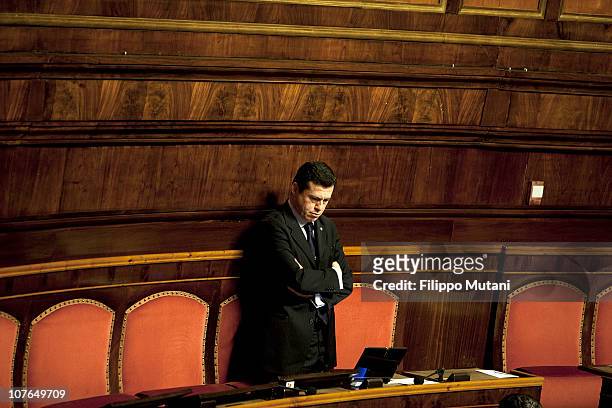 Member of the Italian Parliament, during a session on the vote of confidence to Berlusconi's government at the Italian Lower House on December 13 in...