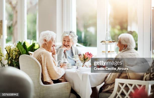 life is like tea, best enjoyed with friends - nursing home interior stock pictures, royalty-free photos & images