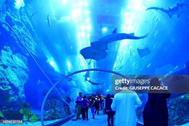 Tourists and locals visit the Dubai Mall aquarium in downtown Dubai on January 2, 2019.