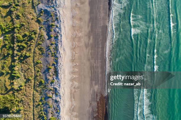 kijkt neer op het strand. - wellington nieuw zeeland stockfoto's en -beelden