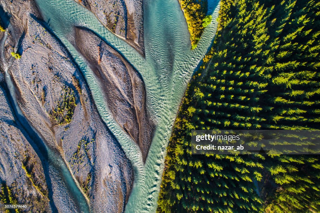 Río que fluye junto al bosque de pinos.