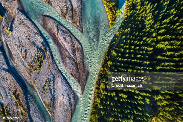 river flowing next to pine forest. - aerial view stock pictures, royalty-free photos & images