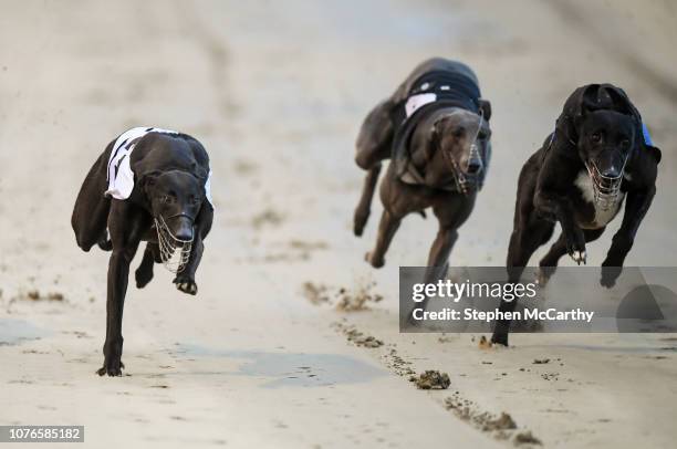 Waterford , Ireland - 3 January 2019; Greyhounds, from left, Carrigoe Psycho, Suirview Promise and Corock Messi in action during race seven, The...