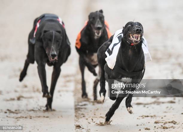 Waterford , Ireland - 3 January 2019; Nemos Gemo competes in the final race, The Happy New Year 525, at Kilcohan Park in Waterford. The meeting was...