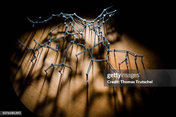 Symbolic photo on the topics: network, network expansion, networking. Nails are connected by a thread on January 03, 2019 in Berlin, Germany.